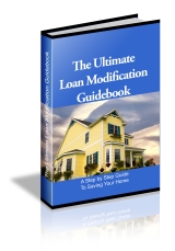 Loan Mod Guidebook